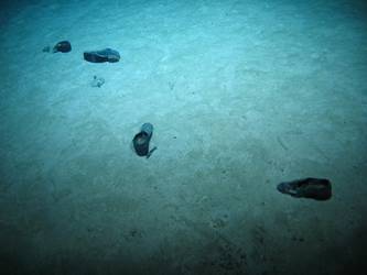 Shoes on seabed